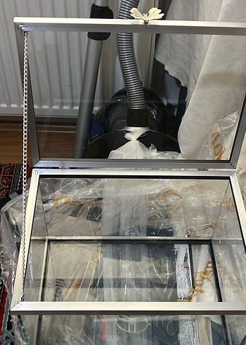 Cam bohçalık fanus - Görsel 2