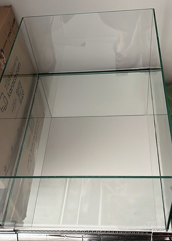 Cam büyük fanus - Görsel 3