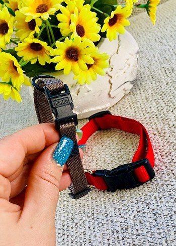 2li Kedi / Köpek Boyun Tasması - Görsel 4