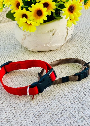 2li Kedi / Köpek Boyun Tasması - Görsel 6