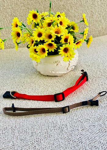 2li Kedi / Köpek Boyun Tasması - Görsel 5