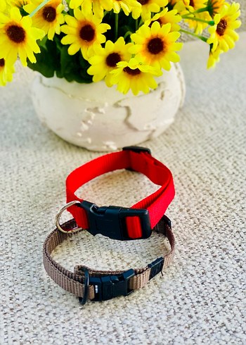 2li Kedi / Köpek Boyun Tasması - Görsel 2