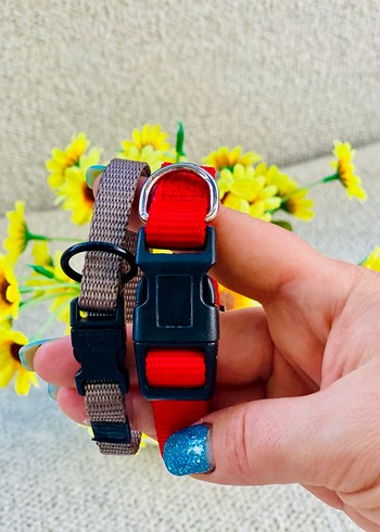 2li Kedi / Köpek Boyun Tasması - Görsel 7