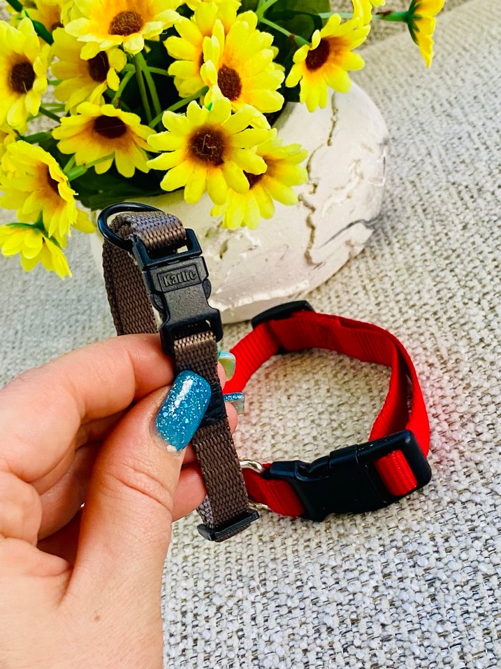 2li Kedi / Köpek Boyun Tasması - Görsel 4