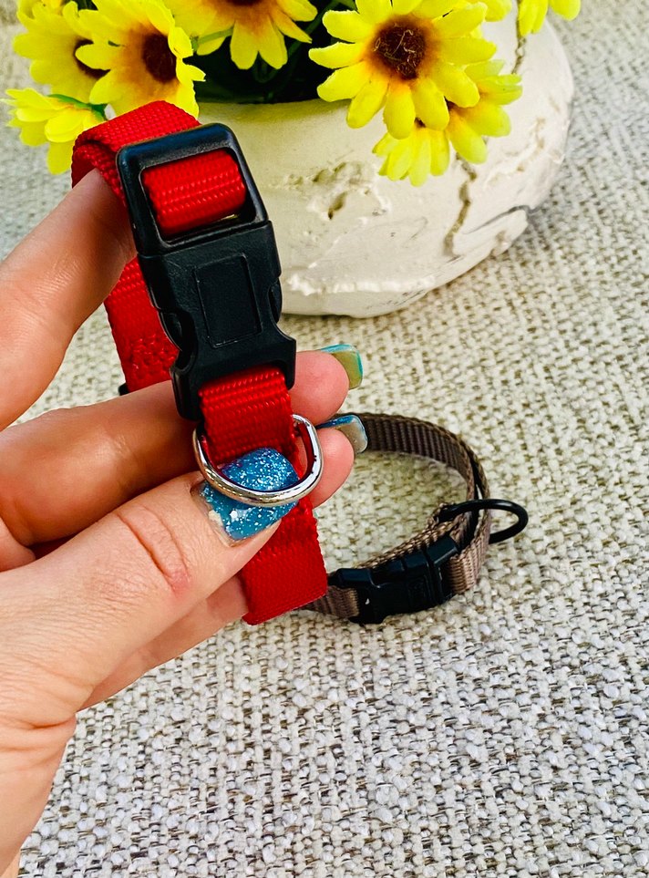 2li Kedi / Köpek Boyun Tasması - Görsel 3