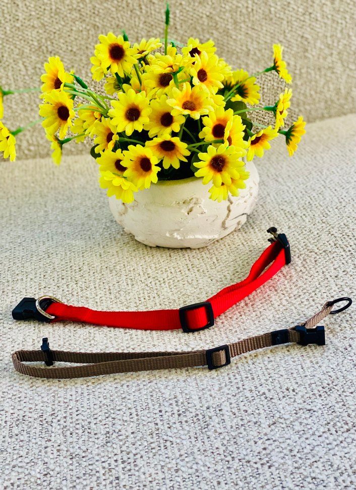 2li Kedi / Köpek Boyun Tasması - Görsel 5