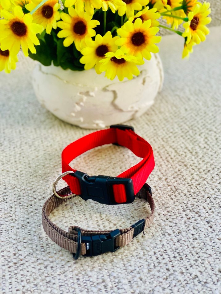 2li Kedi / Köpek Boyun Tasması - Görsel 2