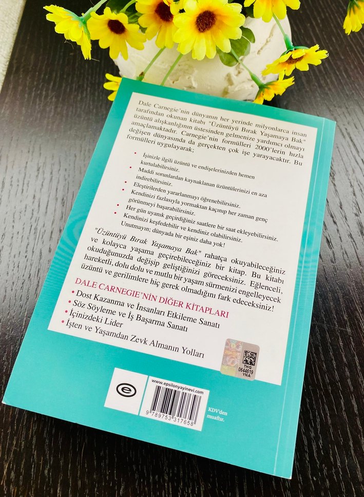 Üzüntüyü Bırak Yaşamaya Bak - Dale Carnei - Görsel 2