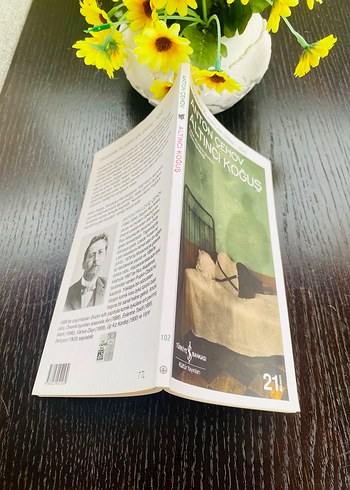 Anton Çehov Altıncı Koğuş Kitabı - Görsel 5
