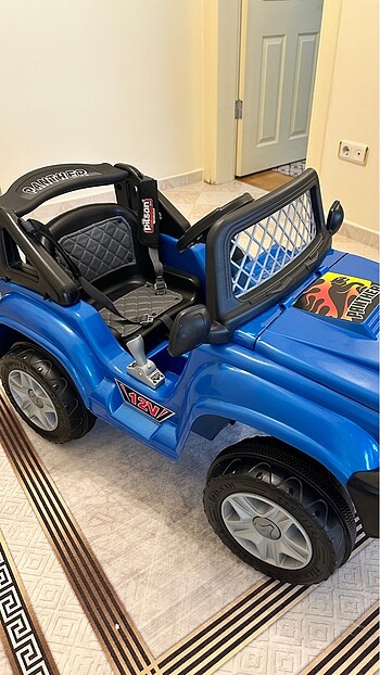 Panther Akülü Araba - Görsel 2