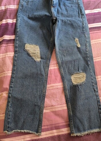 Kot jean