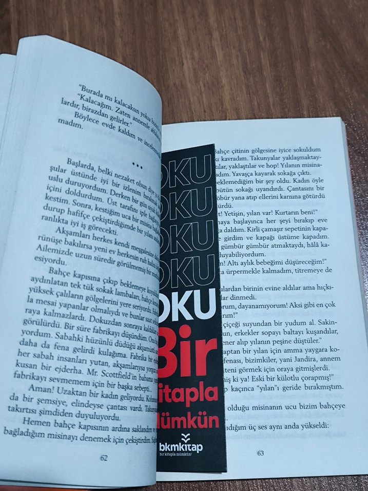 Şeker Portakalı - José Mauro de Vasconcelos - Görsel 2