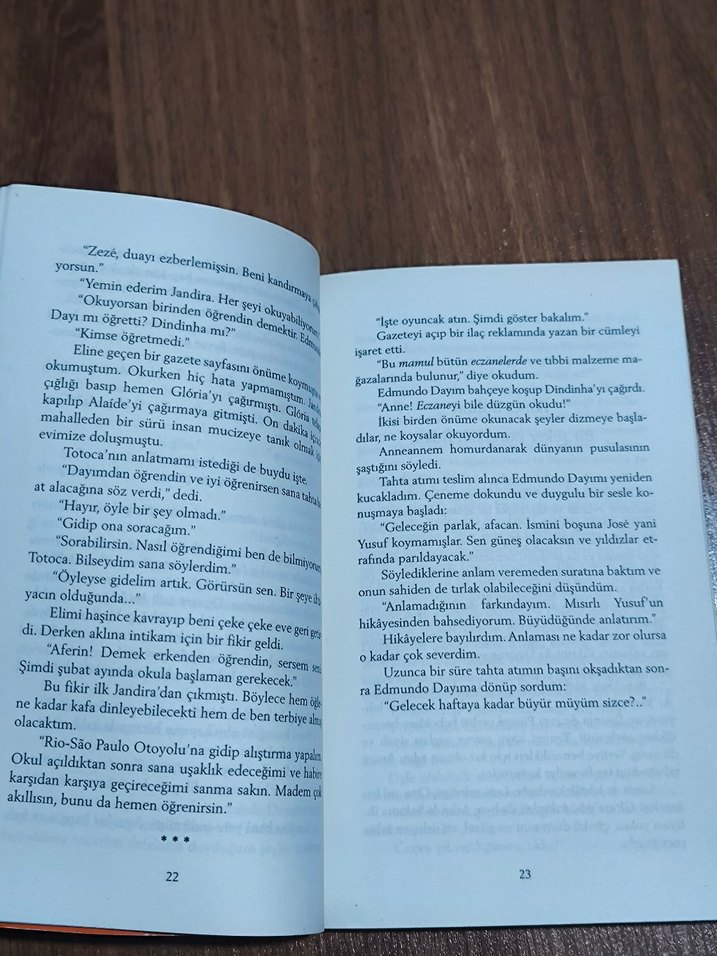 Şeker Portakalı - José Mauro de Vasconcelos - Görsel 3