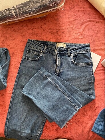 Dilvin kot - Görsel 3