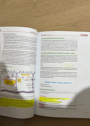 TUSEM Mikrobiyoloji Kitabı - Görsel 4