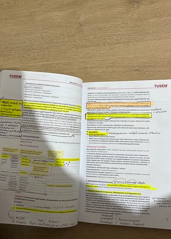 TUSEM Mikrobiyoloji Kitabı - Görsel 3