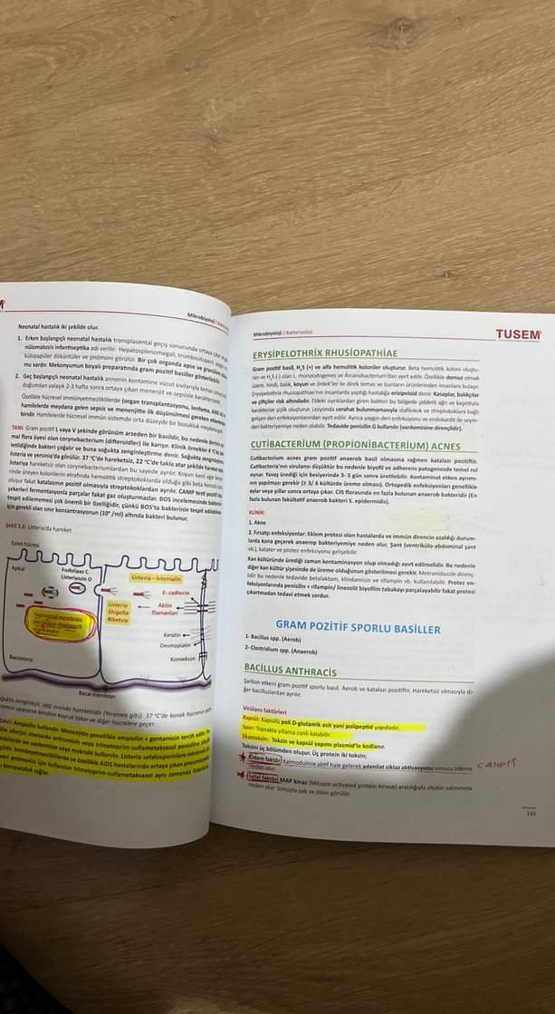 TUSEM Mikrobiyoloji Kitabı - Görsel 4