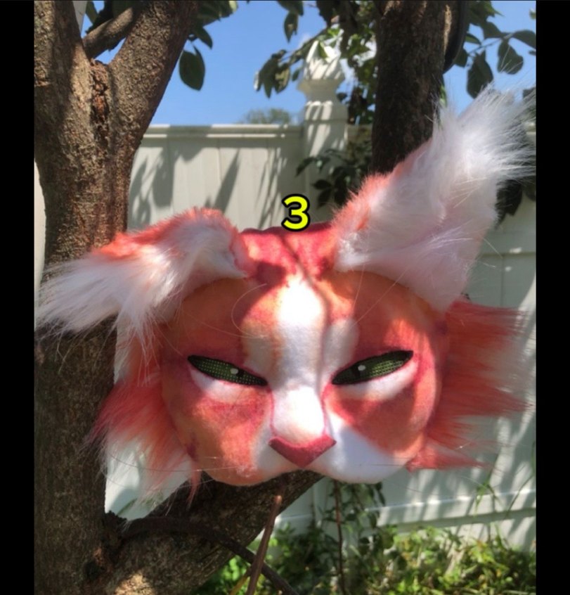 İnsan mask veya kedi (pahalı biraz) mask yapacağım - Görsel 4