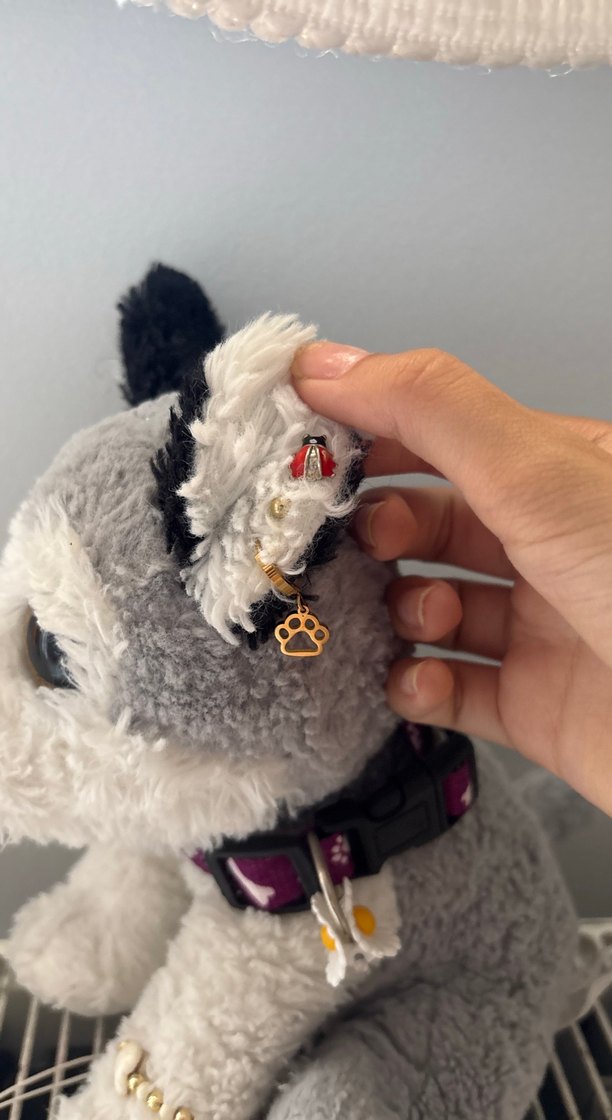 Gri Peluş Köpek Oyuncak essa - Görsel 2