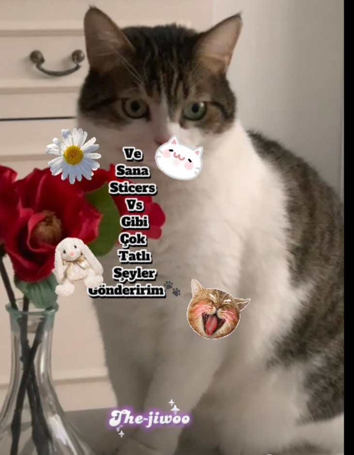 İstek Maske Yapıyorum - Görsel 4