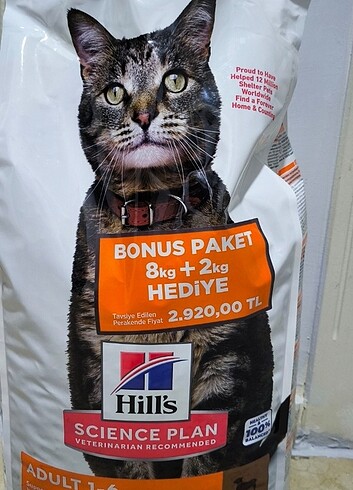Hills kuzu etli kedi mamasi