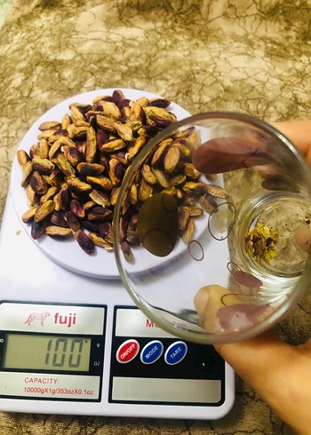 Fıstık içi - Görsel 5