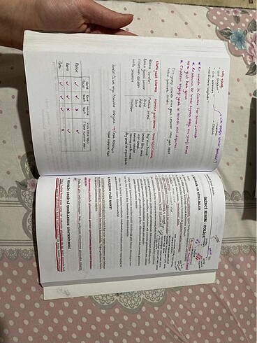 Kpss Hukuk Konu Anlatım - Görsel 8