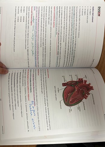 Dusem Fizyoloji  & Histoloji Kitabı - Görsel 3