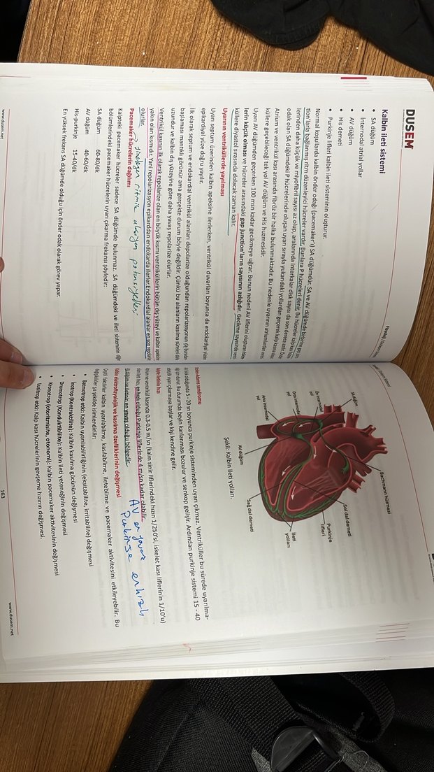 Dusem Fizyoloji  & Histoloji Kitabı - Görsel 3