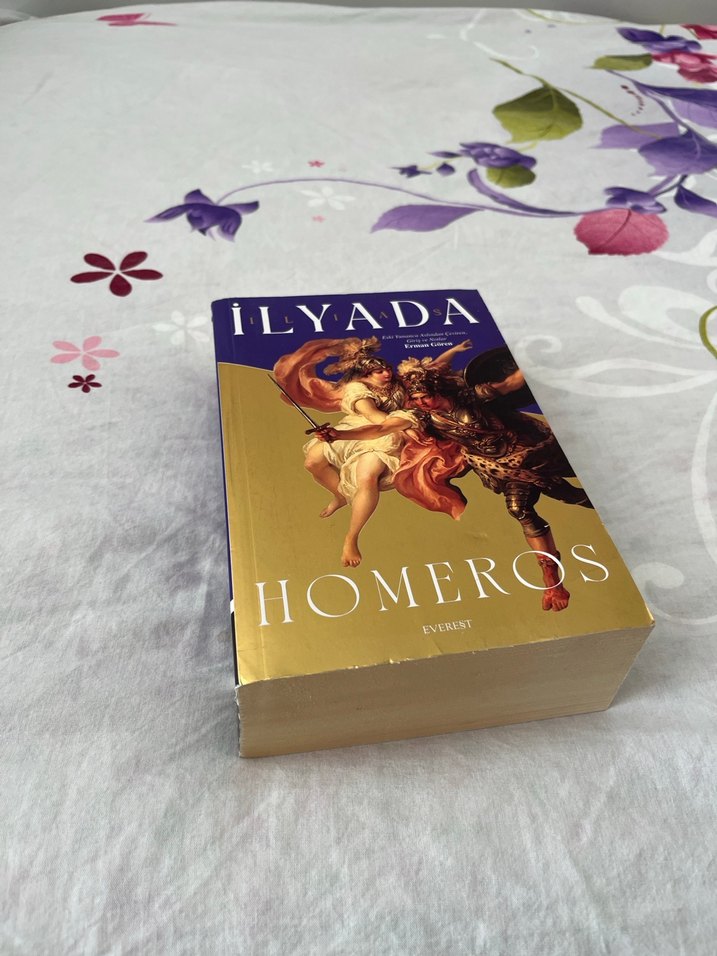 İlyada - Homeros - Görsel 2