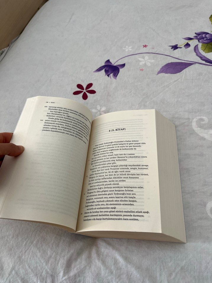 İlyada - Homeros - Görsel 3