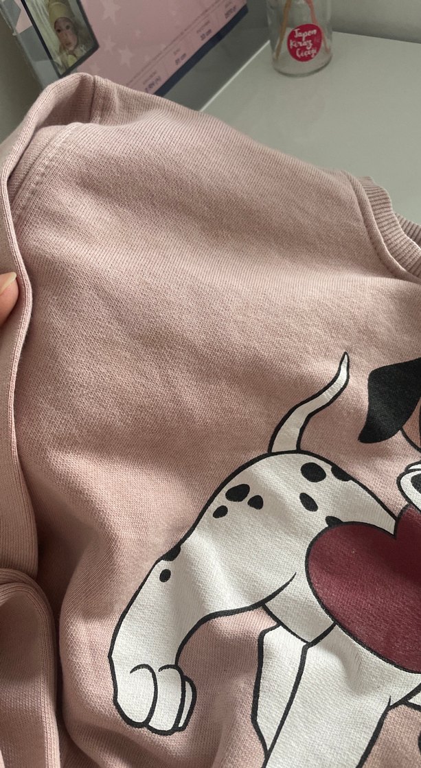 Pembe köpek Desenli kız bebek takımı - Görsel 3