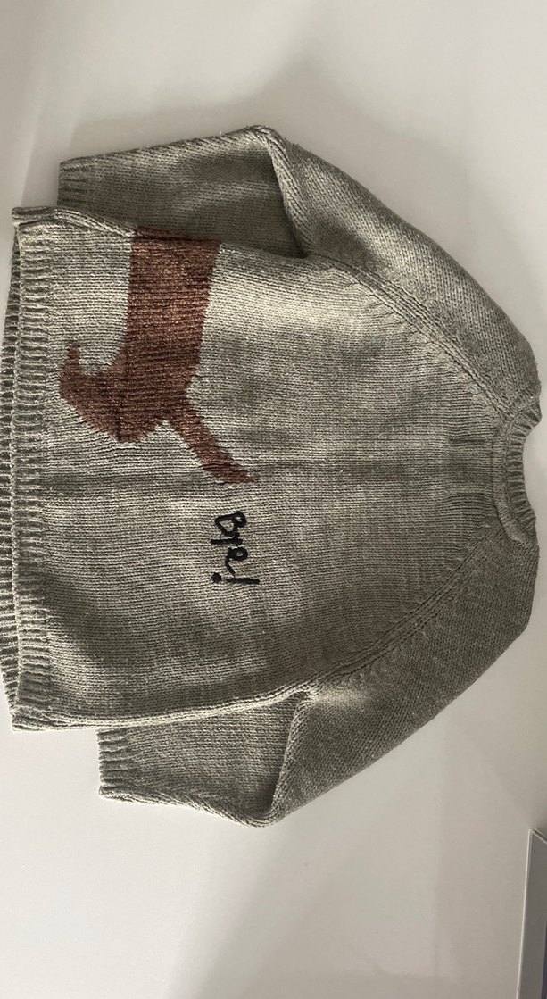 Açık haki kız- Erkek Çocuk köpek Nakışlı Örgü Kazak - Görsel 5