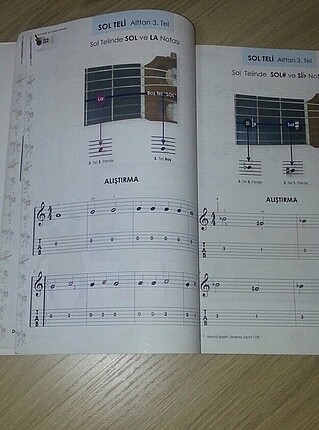 Beden Renk Gitar kitabı