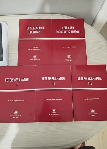 Veteriner Anatomi Seti 