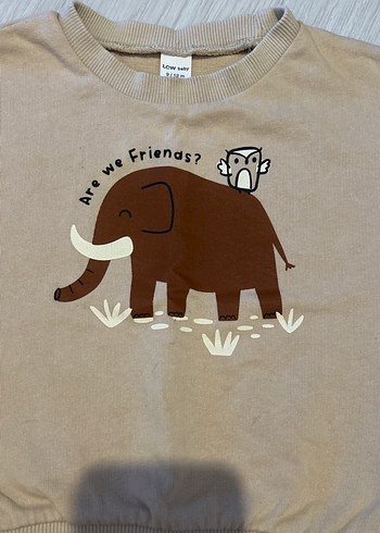 Lcw Kahverengi Baskılı Sweatshirt