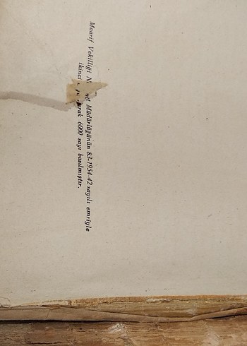 Son Asır Türk Edebiyatı Tarihi Kitabı - Görsel 5