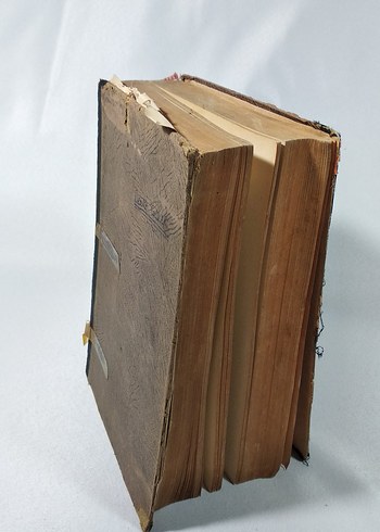 Avrupa Edebiyatı ve Biz - İsmail Habib - Görsel 5