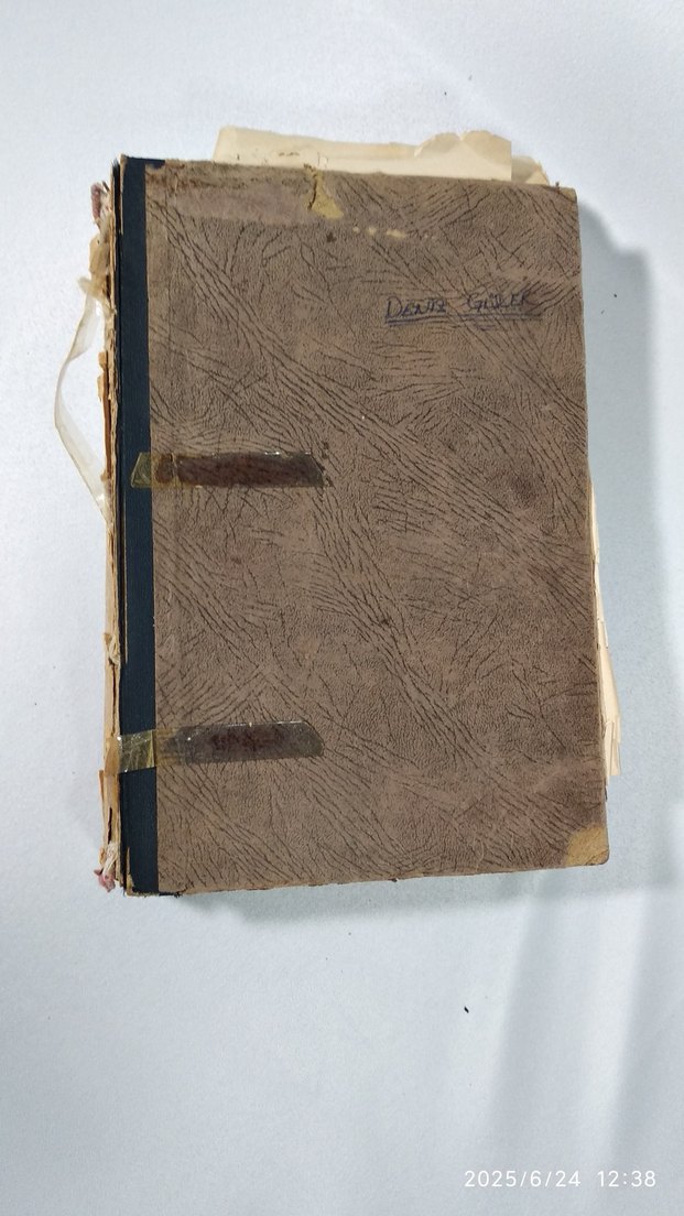 Avrupa Edebiyatı ve Biz - İsmail Habib - Görsel 3