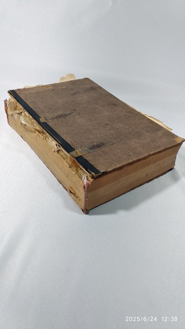 Avrupa Edebiyatı ve Biz - İsmail Habib - Görsel 2