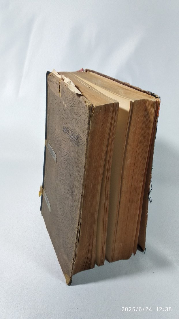 Avrupa Edebiyatı ve Biz - İsmail Habib - Görsel 5