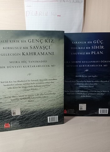 kül gibi kar , gece gibi ayaz