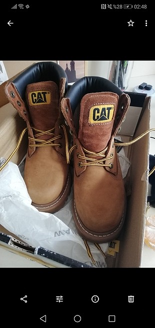 temiz cat bot