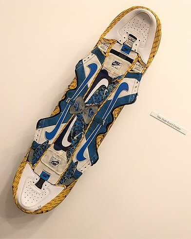 Nike Sneaker Skateboard