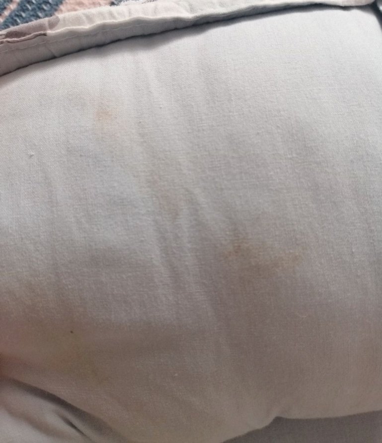 Babynest - Görsel 3