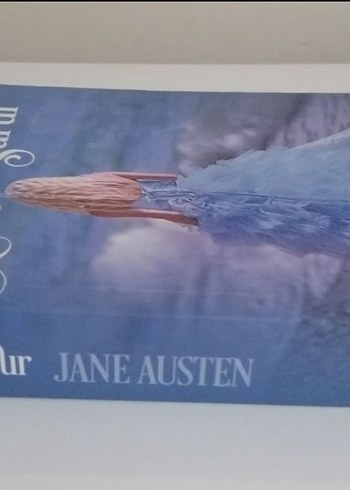 Aşk ve Gurur - Jane Austen - Görsel 2