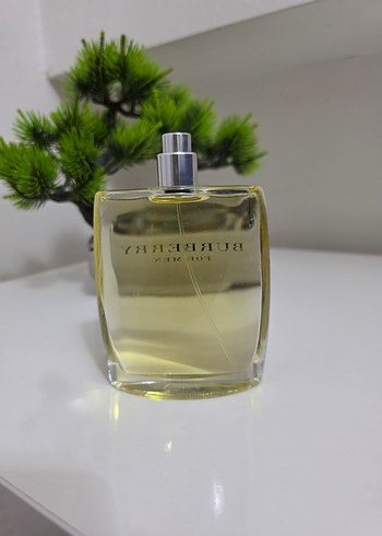 Burberry Classic 100 ml - Görsel 2