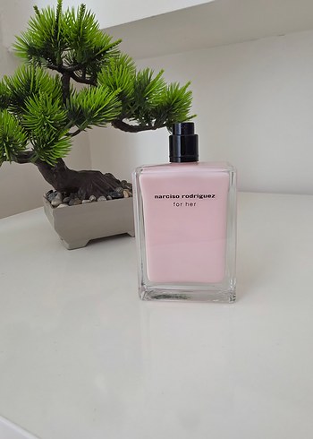 narciso-rodriguez