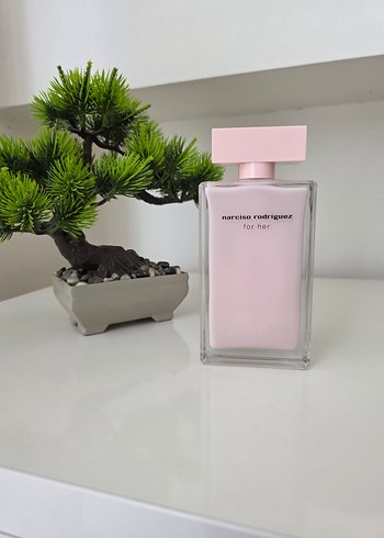 narciso-rodriguez