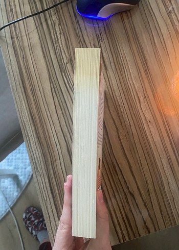 Orhan Pamuk - İstanbul: Hatıralar ve Şehir - Görsel 3